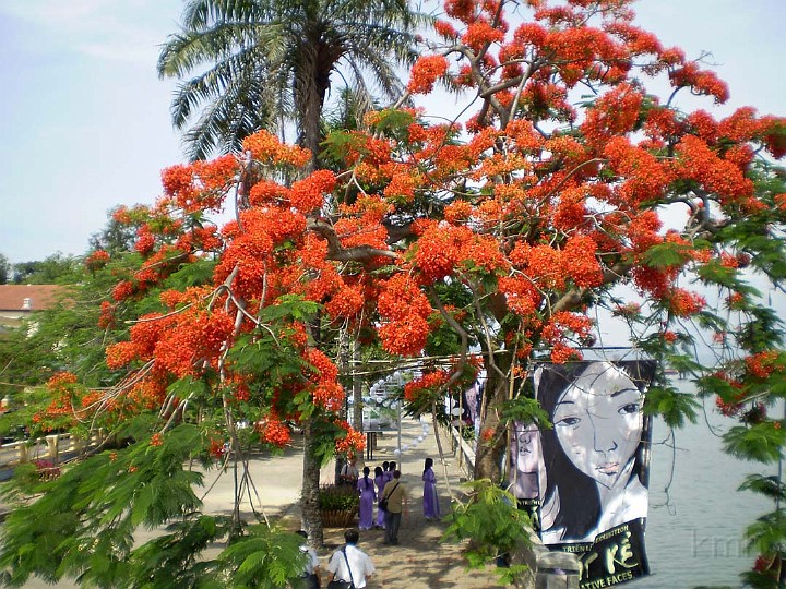Tim Hue &Phuong Hong.jpg - OLYMPUS DIGITAL CAMERA